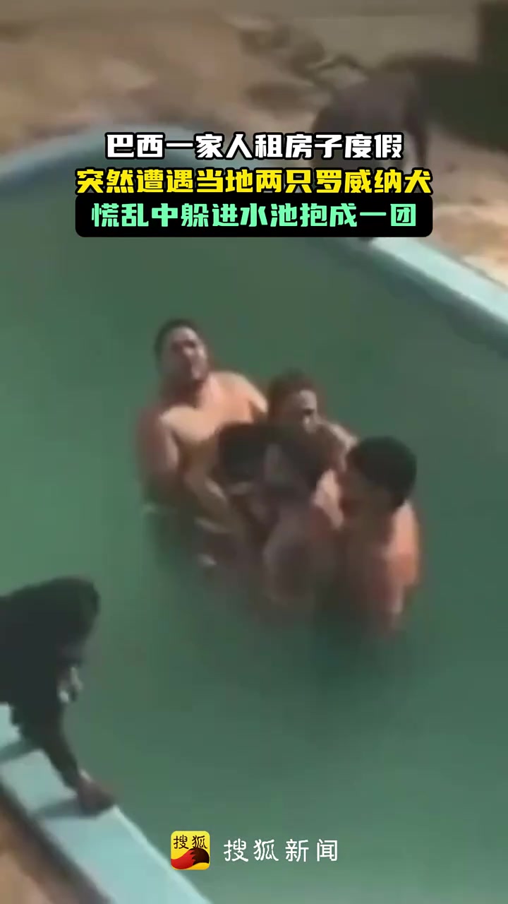 巴西一家子遭遇当地两只罗威纳犬慌乱中躲进水池里抱成一团