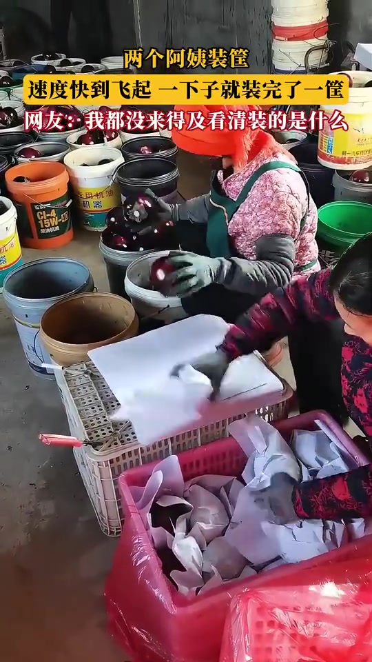 俩阿姨装筐速度快到飞起，到底装了啥
