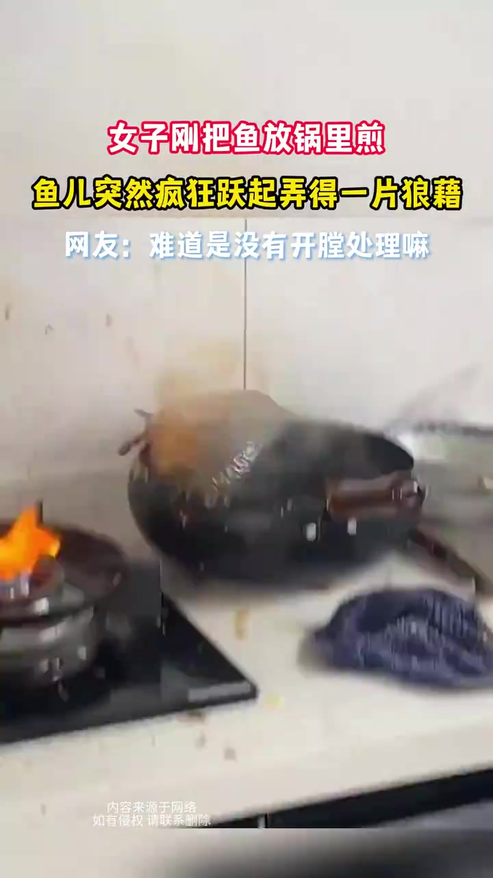 女子刚把鱼放锅里煎鱼儿突然疯狂跃起弄得一片狼藉