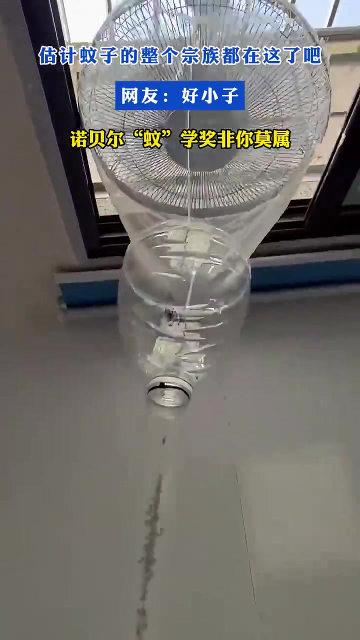 估计蚊子的整个宗族都在这了吧！