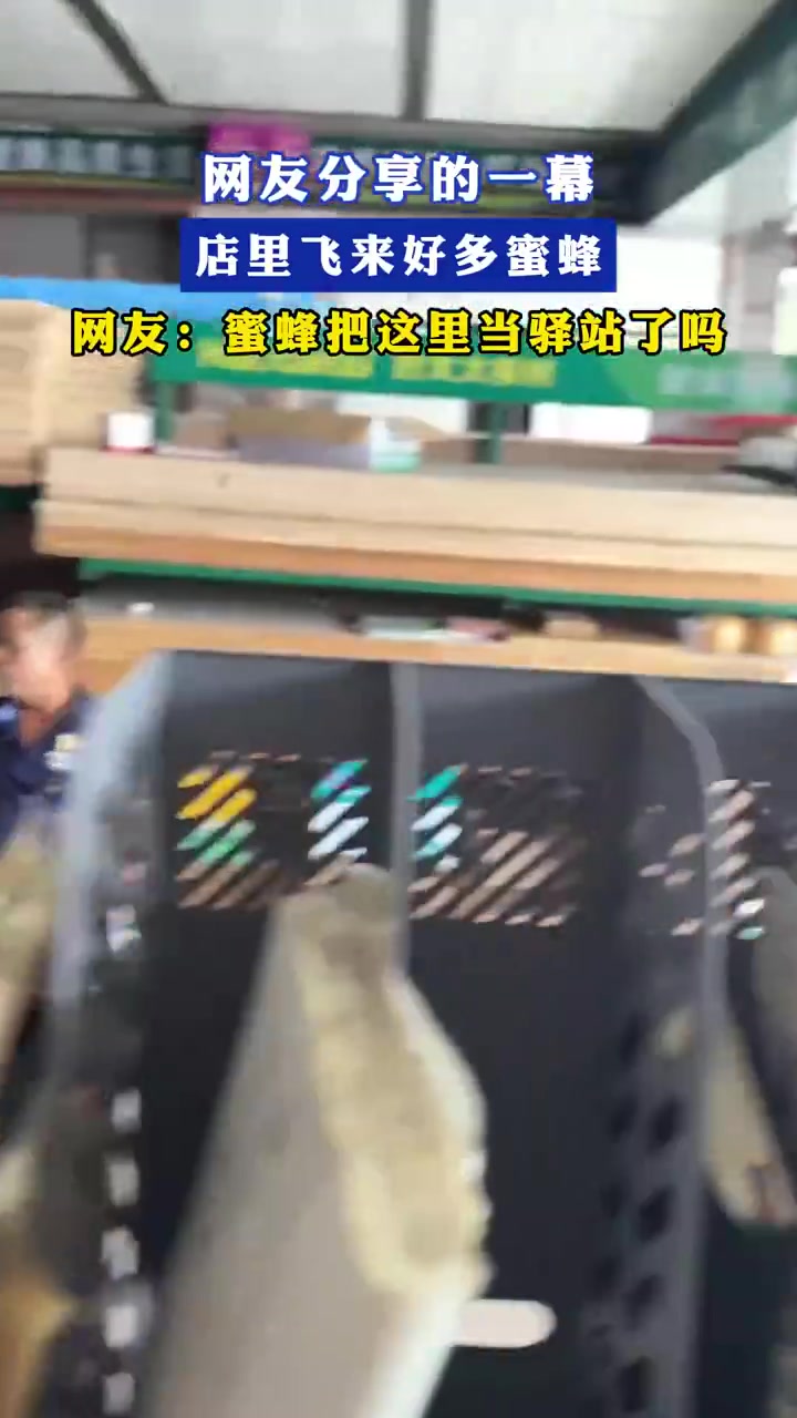 网友分享的一幕店里飞来好多蜜蜂