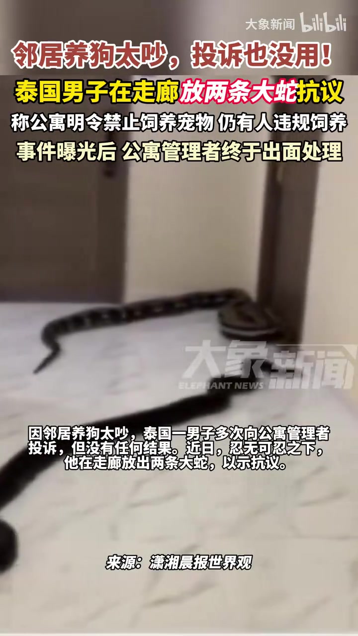 因邻居养狗太吵，泰国一男子在走廊放出两条大蛇