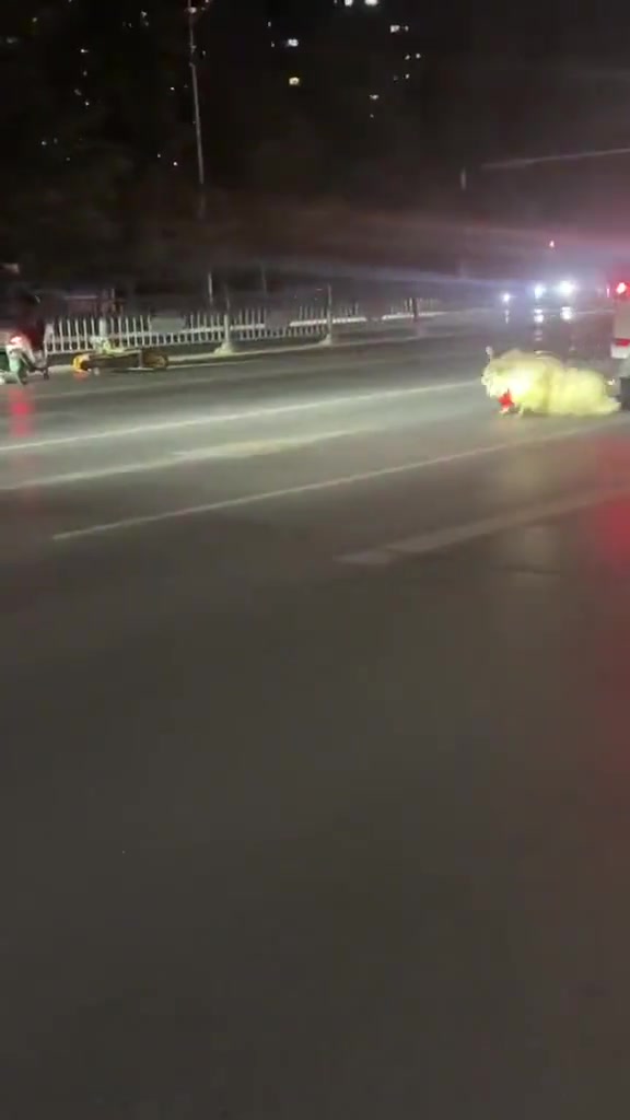 羊：这就是飞的感觉