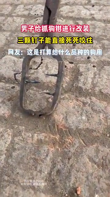 男子改装抓狗钳加钉加固，网友：这下跑不掉了