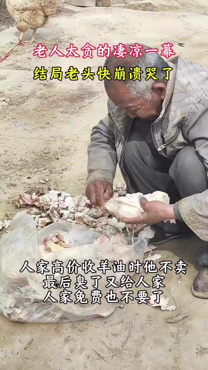 老人太贪的凄凉一幕，结局老头快崩溃哭了