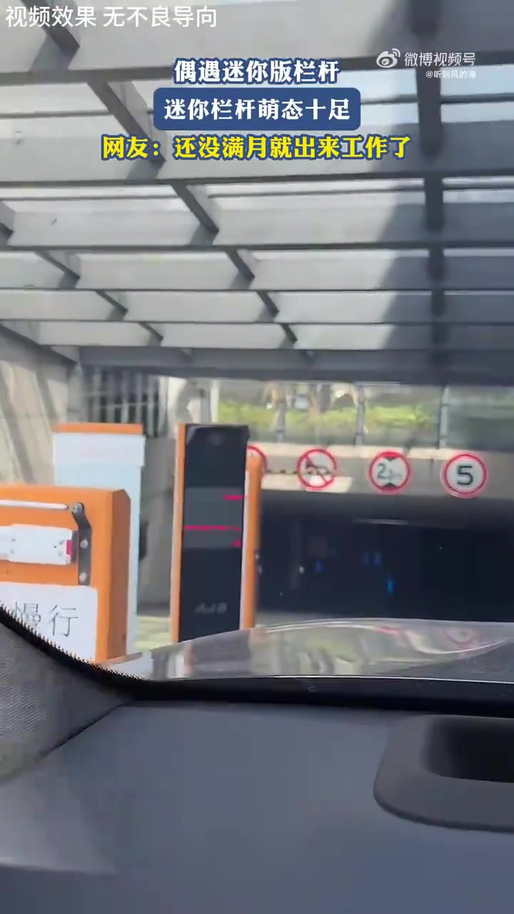 偶遇迷你版栏杆迷你栏杆萌态十足
