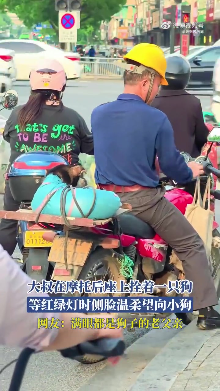 大叔在摩托后座上拴着一只狗等红绿灯时侧脸温柔望向小狗