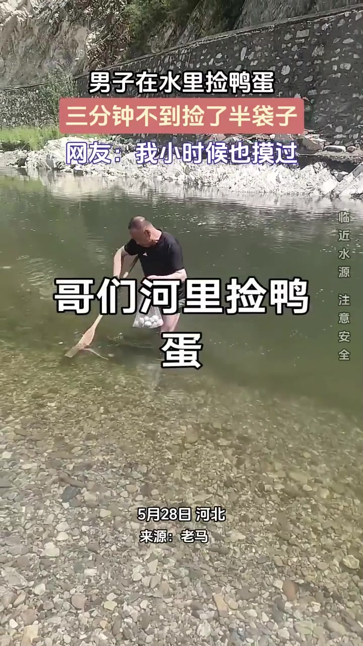 男子在水里捡鸭蛋
