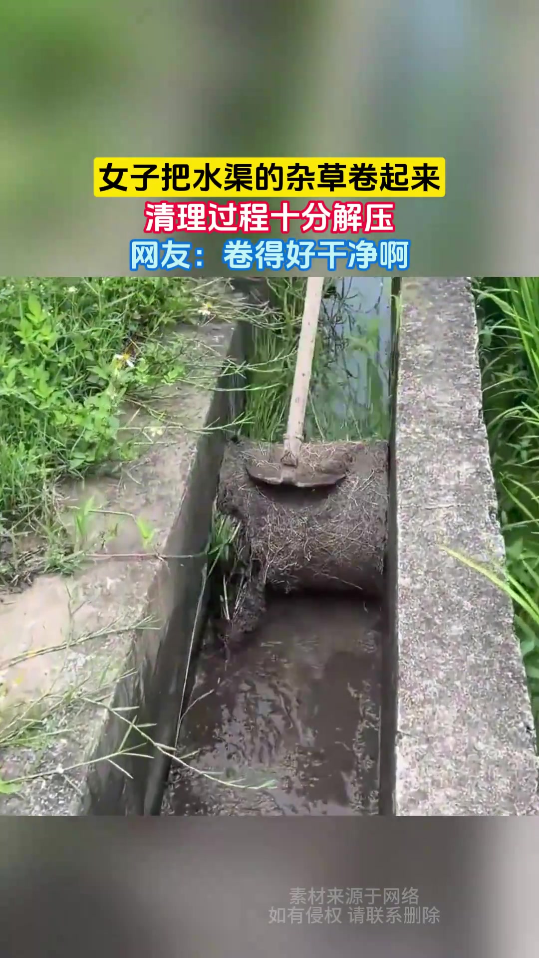 女子把水渠的杂草卷起来，清理过程十分解压，网友：卷得好干净啊