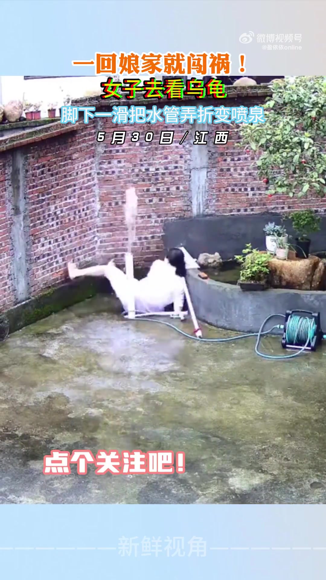 一回娘家就闯祸！女子去看乌龟脚下一滑把水管弄折变喷泉