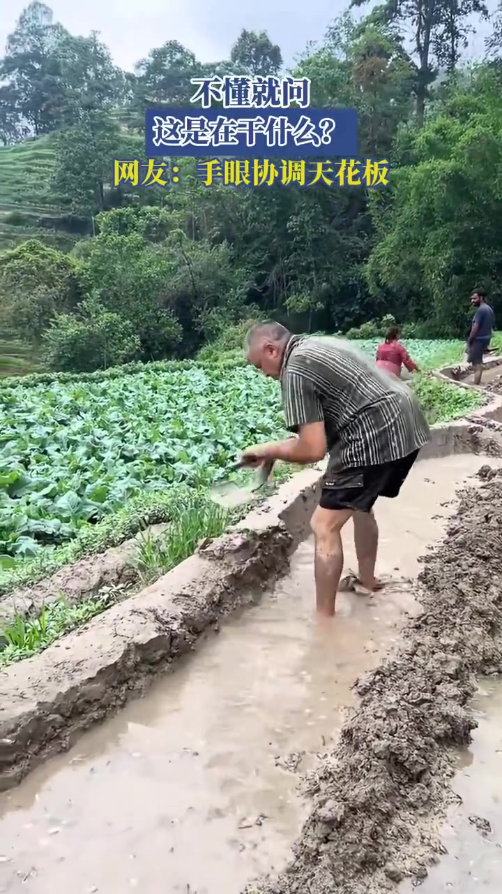 不懂就问，这是在干什么网友：手眼协调天花板