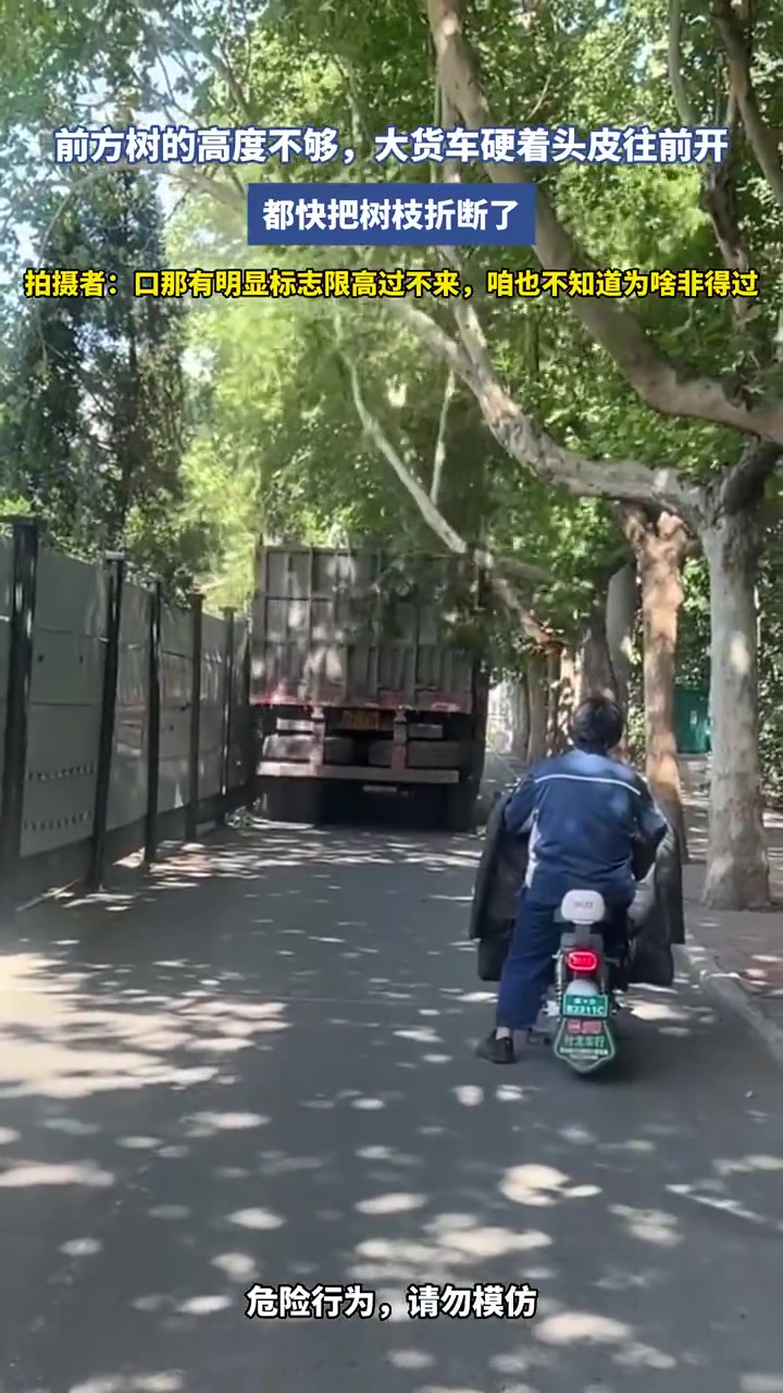 前方树的高度不够，大货车硬着头皮往前开