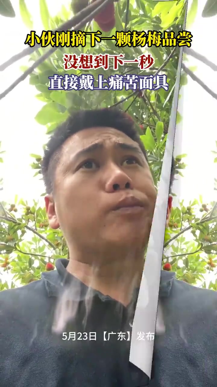 小伙刚摘下一颗杨梅品尝，没想到下一秒，直接戴上痛苦面具