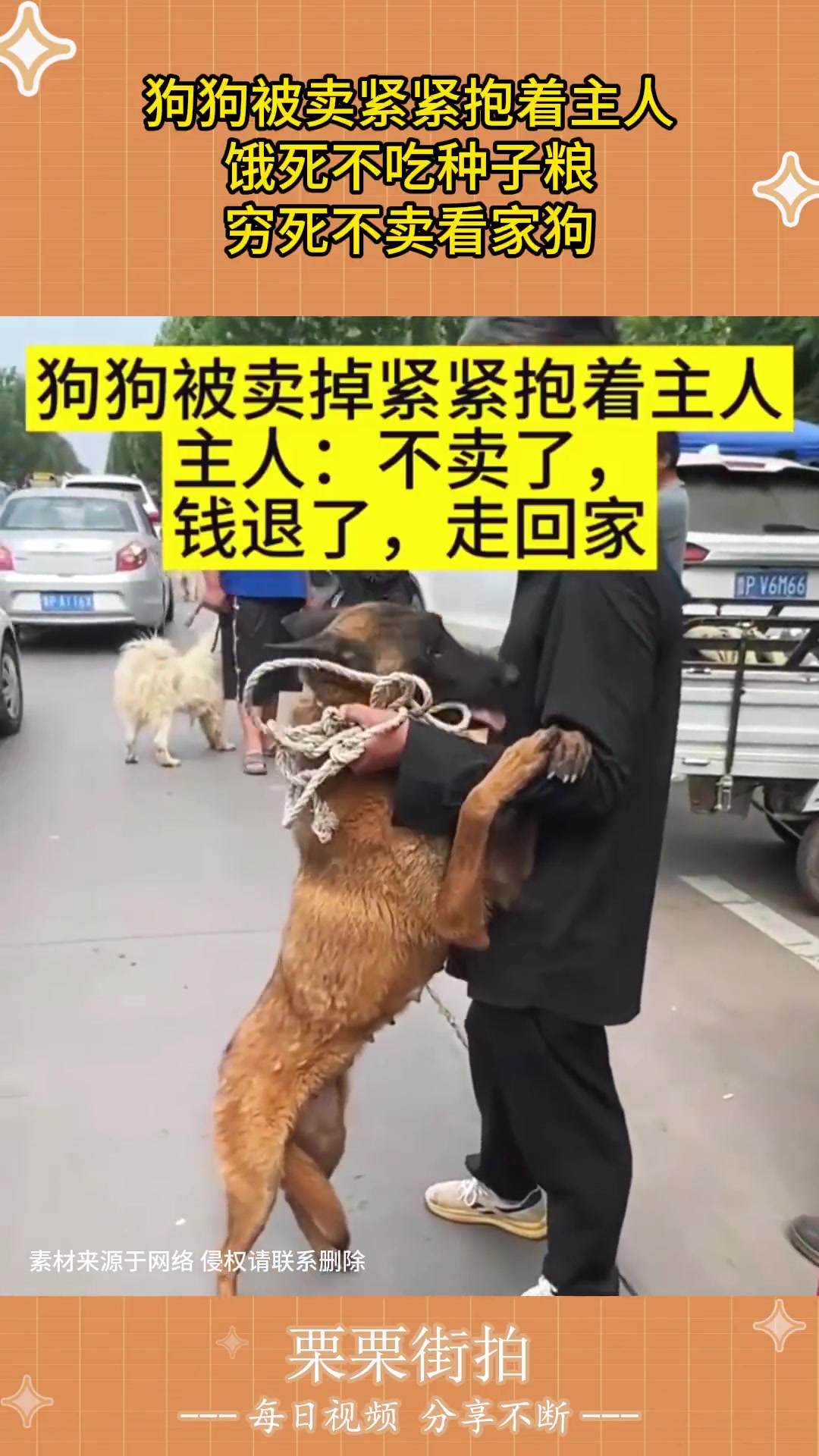 狗狗被卖紧紧抱着主人，饿死不吃种子粮，穷死不卖看家狗！