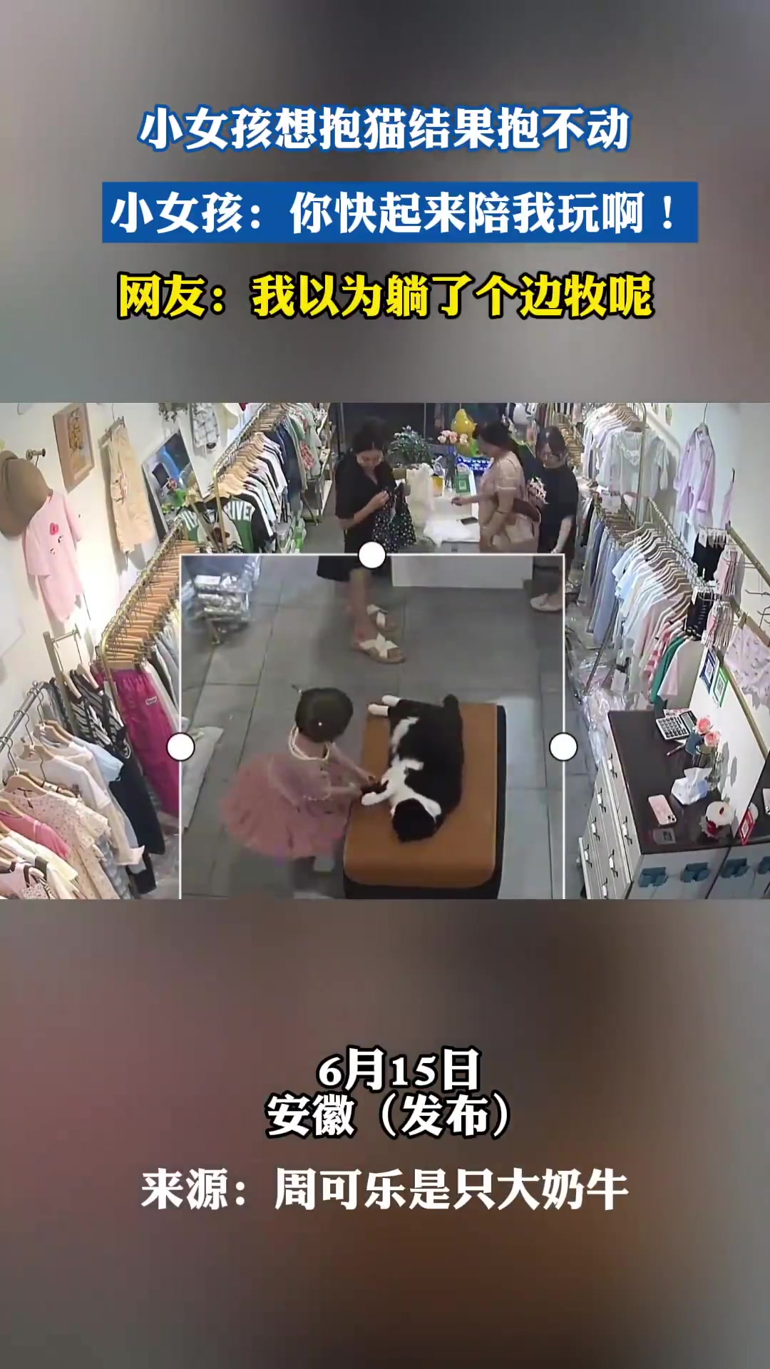 小女孩想抱猫结果抱不动，你快起来陪我玩啊，我以为躺了个边牧！