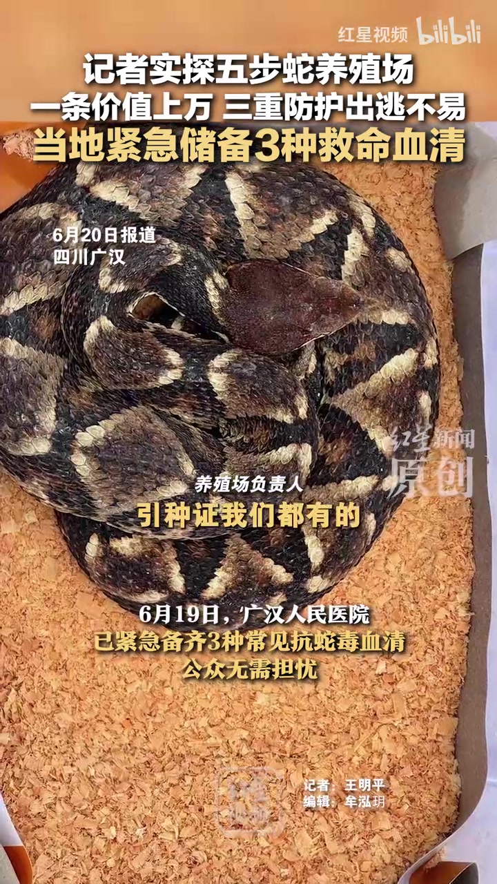 记者实探五步蛇养殖场一条价值上万三重防护出逃不易