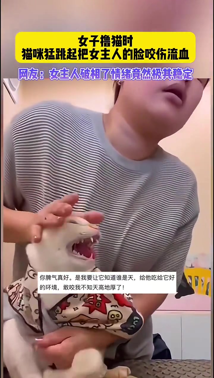 情绪稳定女主人情绪极其稳定