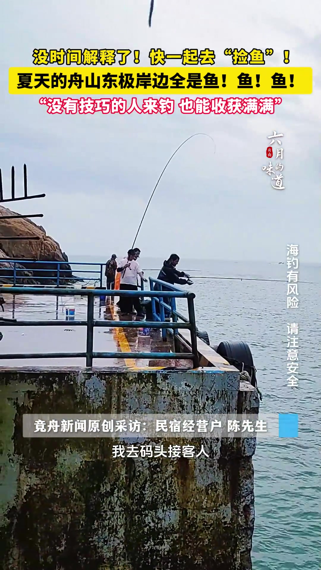 快一起去“捡鱼”！夏天到了，舟山东极的岸边全是鱼！鱼！鱼！