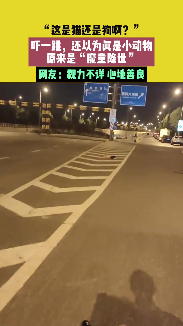 “这是猫还是狗啊“还以为真是小动物，原来是“魔童降世”