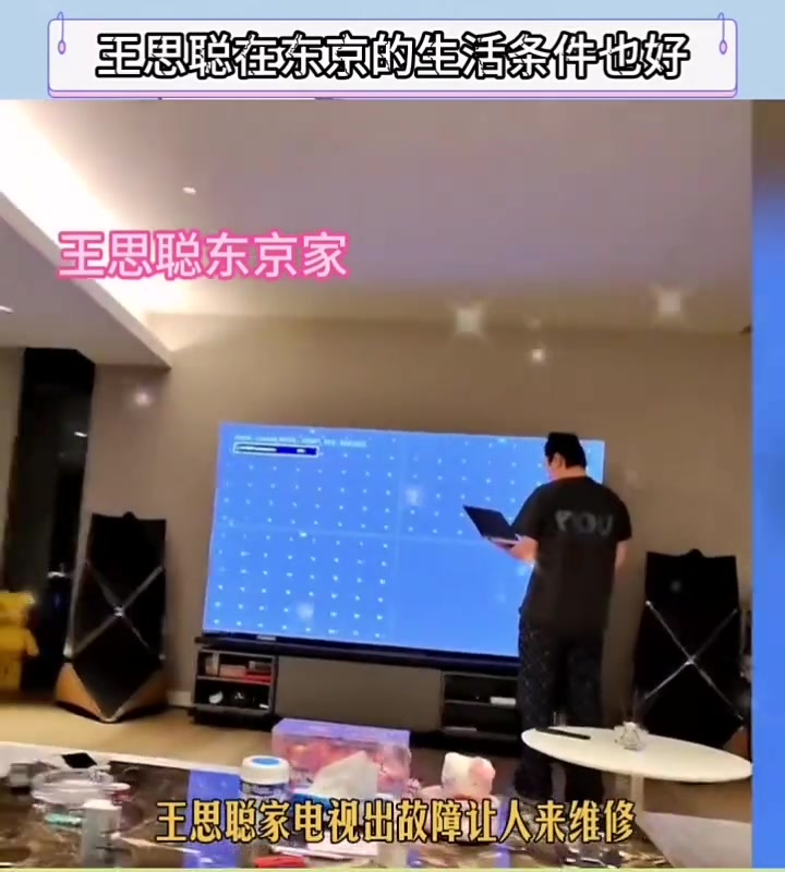 瘦死的骆驼比马大，王思聪这豪宅是真大啊！