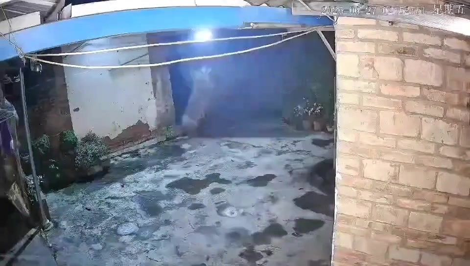 野生的就是没有礼貌不知道敲门的吗
