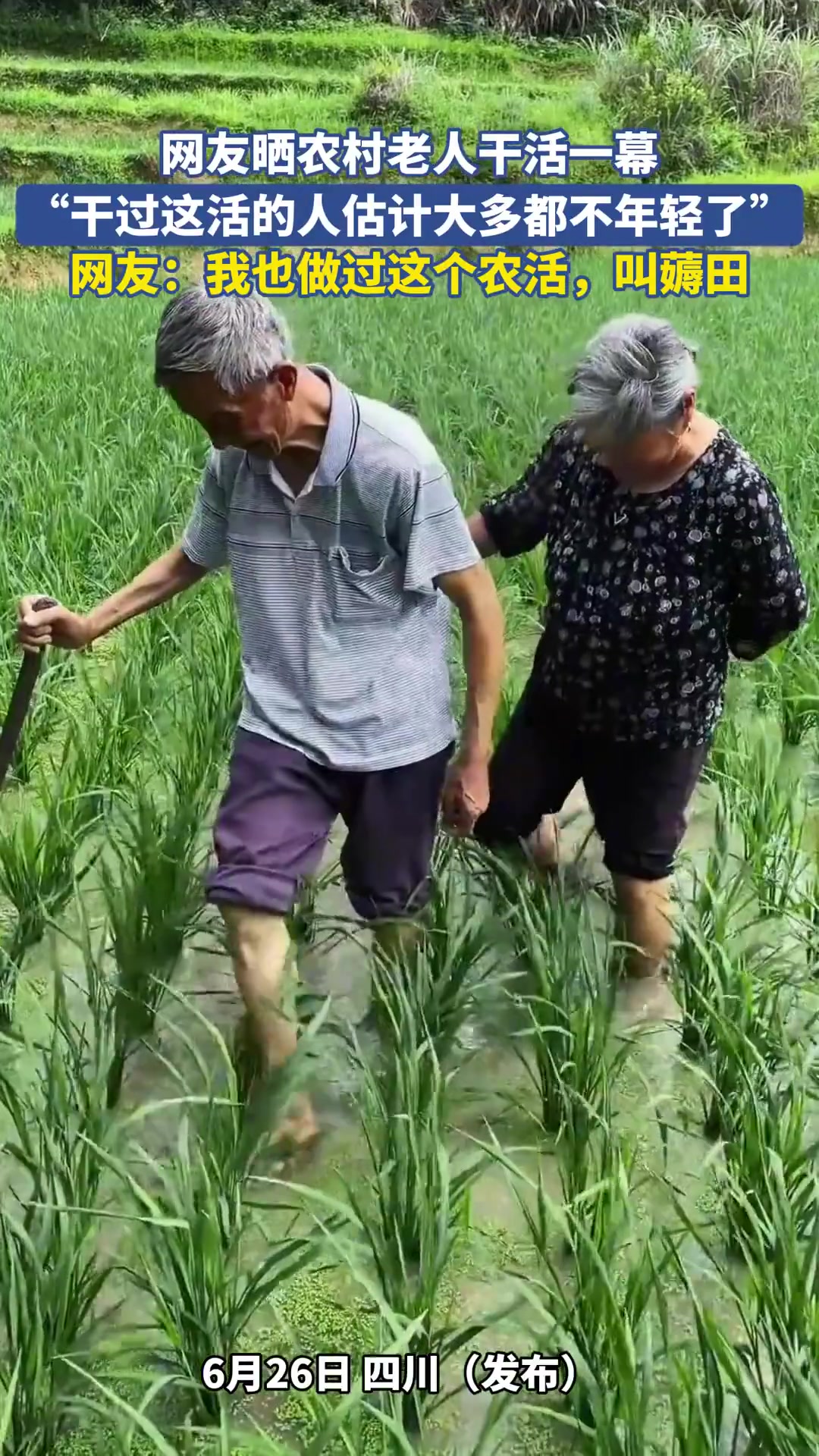 网友晒农村老人干活一幕，“干过这活的人估计大多都不年轻了”