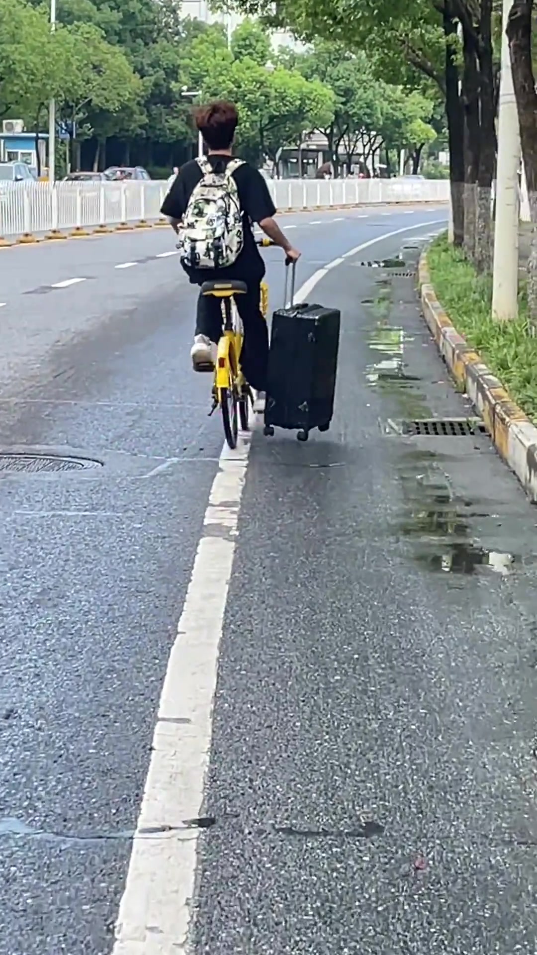 论当代大学生的松弛人生