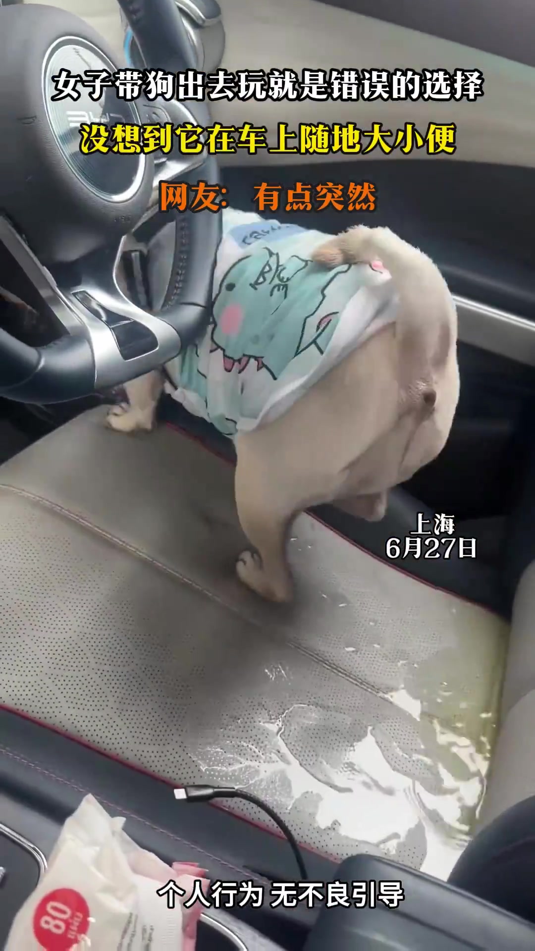 带狗出门悲剧了！车上随地大小便