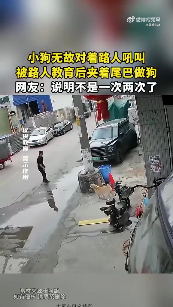 小狗无故对着路人吼叫，被路人教育后夹着尾巴做狗