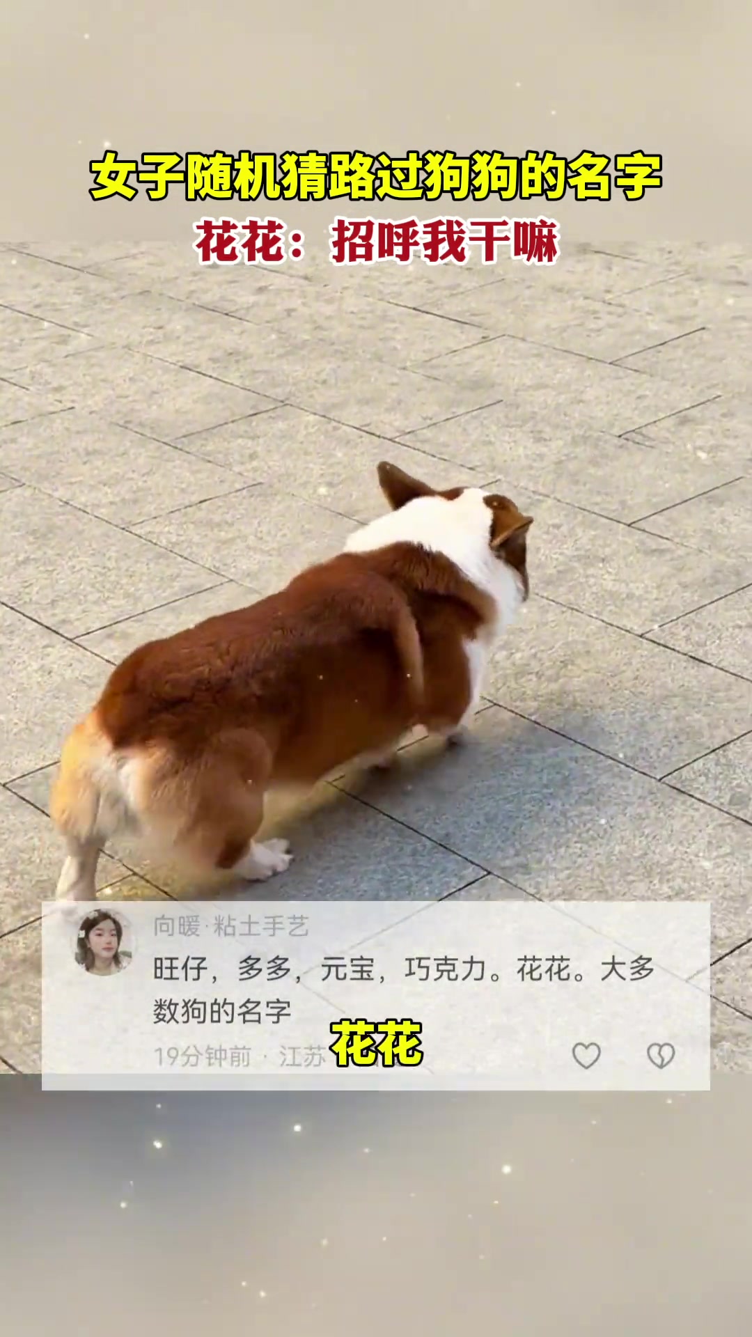 花花：招呼我干嘛