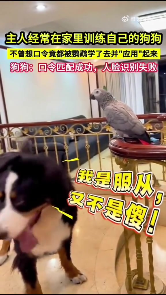 等哪天主人不在家，我非要把吞了你！