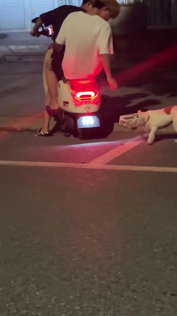 善良是本能吗