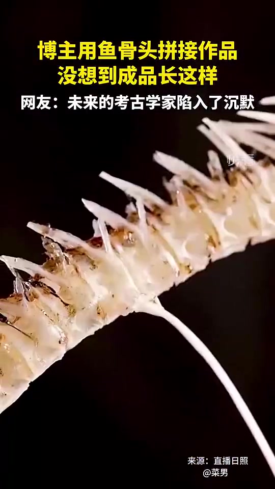 博主用鱼骨头拼接作品，没想到成品长这样