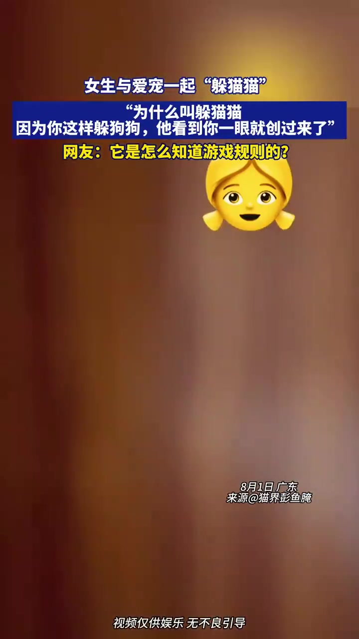 女生与爱宠躲猫猫！网友：它懂规则