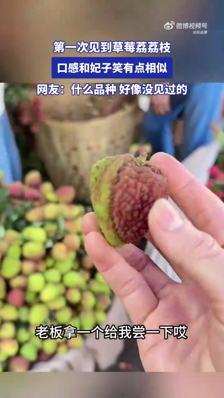 第一次見(jiàn)到草莓荔荔枝，口感和妃子笑有點(diǎn)相似