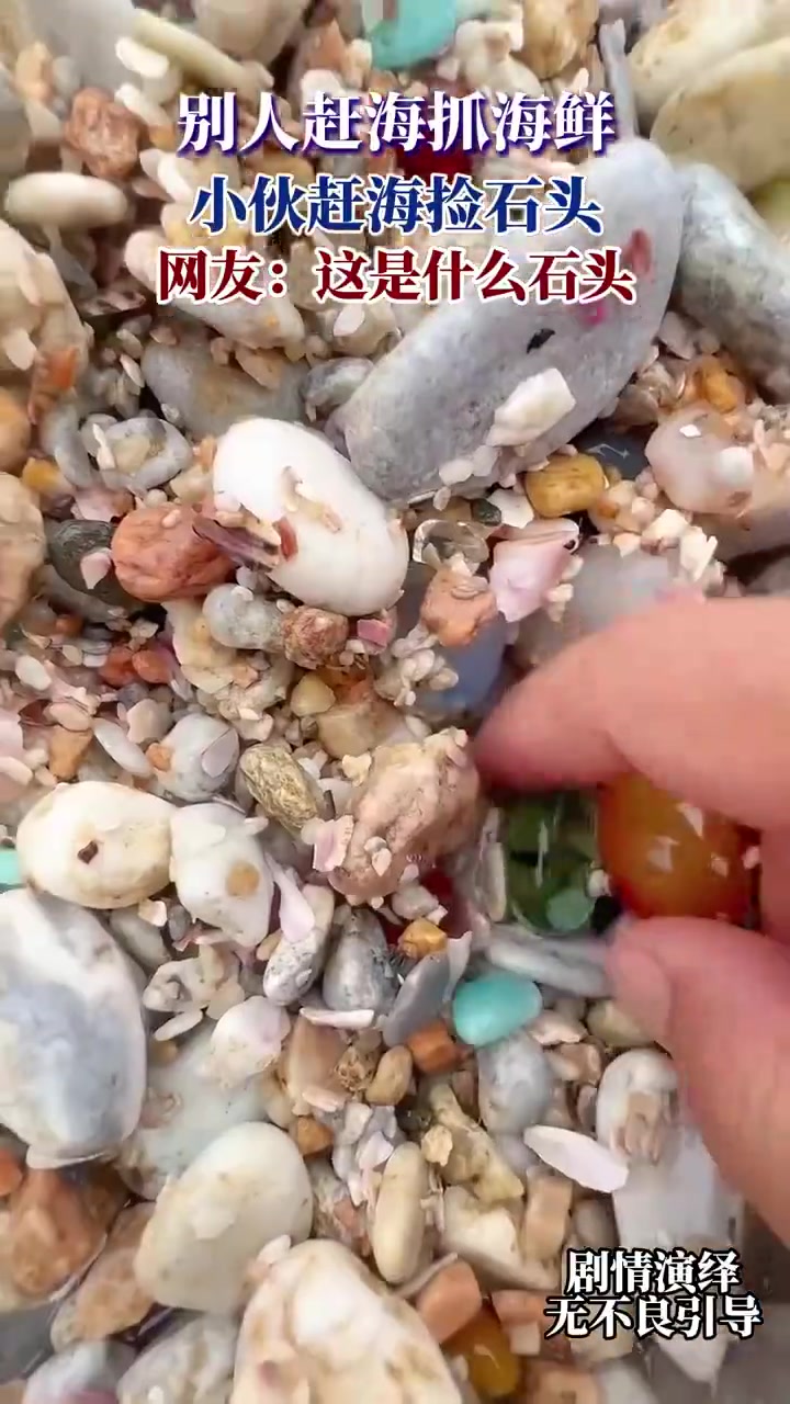 別人趕海抓海鮮，小伙趕海撿石頭，網(wǎng)友：這是什么石頭！