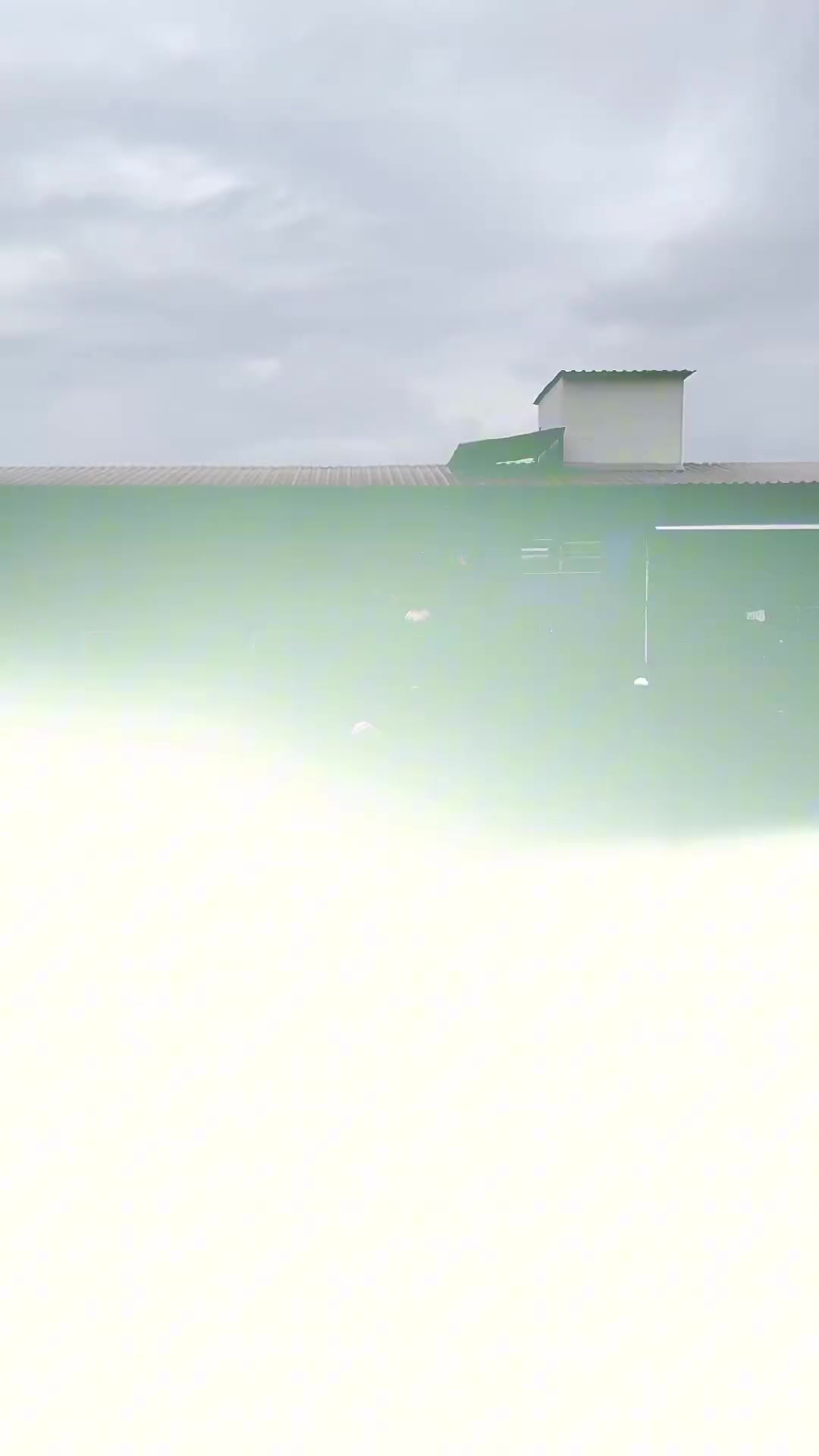 独狼变老狼!58岁罗马里奥正式复出