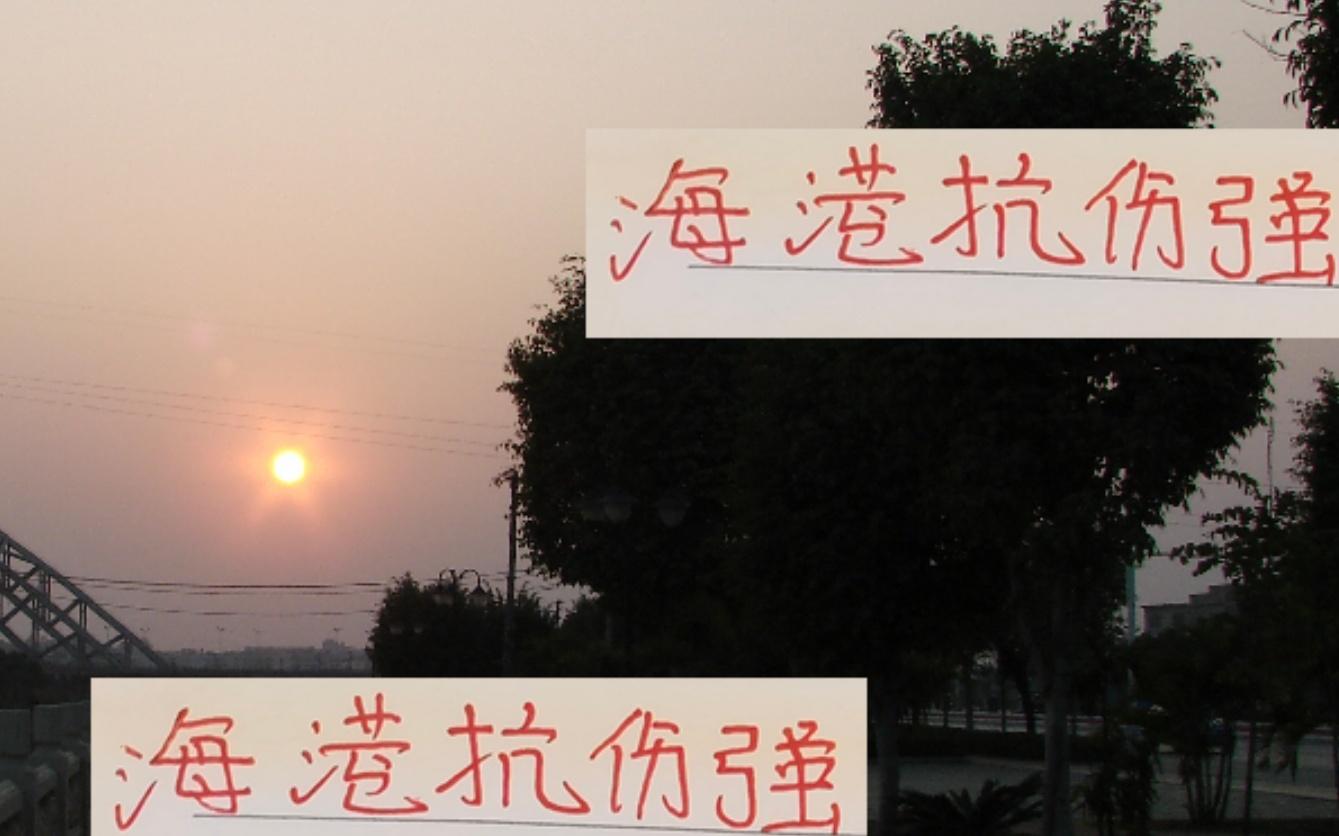 海港相比成都申花最大優(yōu)勢他們五外援抗傷強萊昂怎么踢都不傷