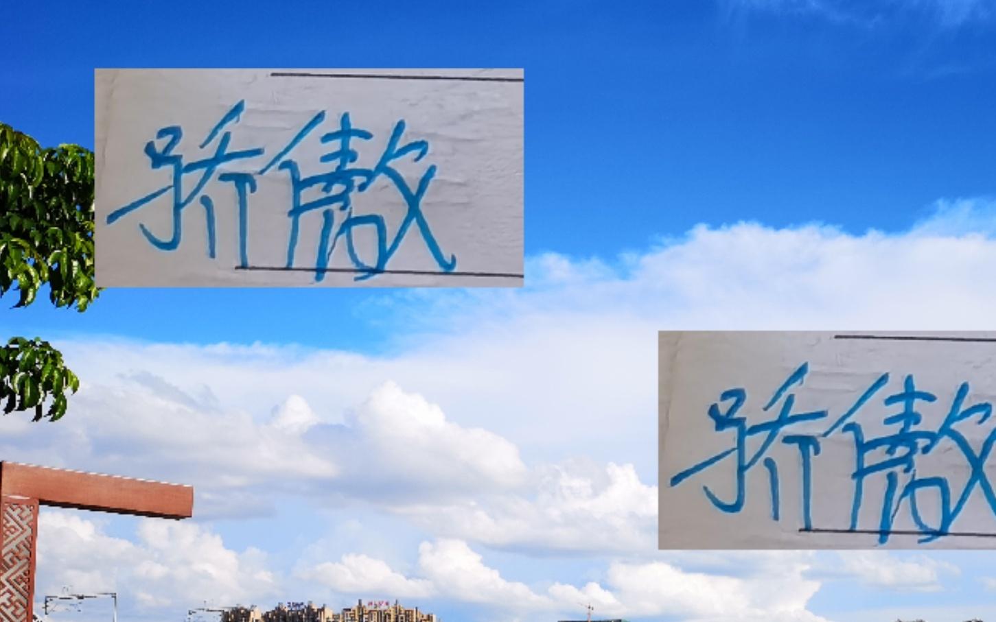 大写骄傲!中超各项最佳申花6人入选最佳候选