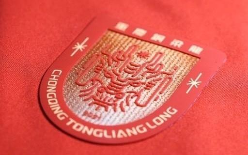 成都蓉城祝贺铜梁龙冲超：期待我们明年中超赛场见