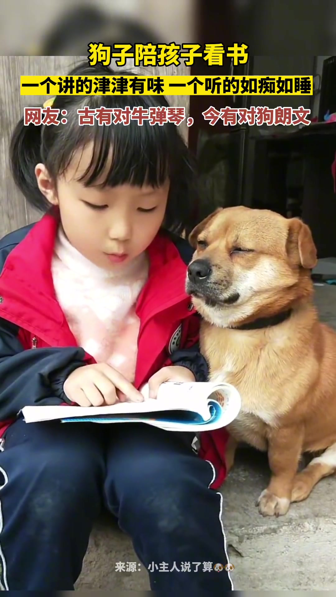 狗子陪孩子看书，一个讲的津津有味一个听的如痴如睡