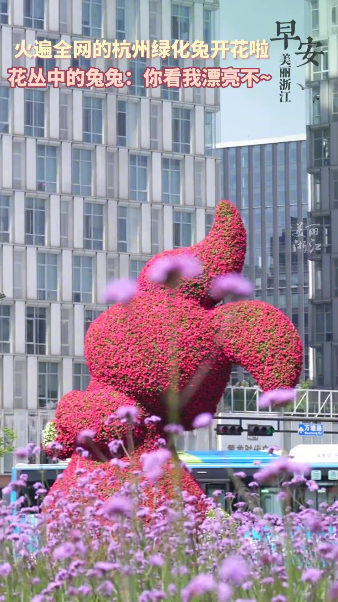 杭州绿化干大事！完成“变装”的红兔子被花丛簇拥