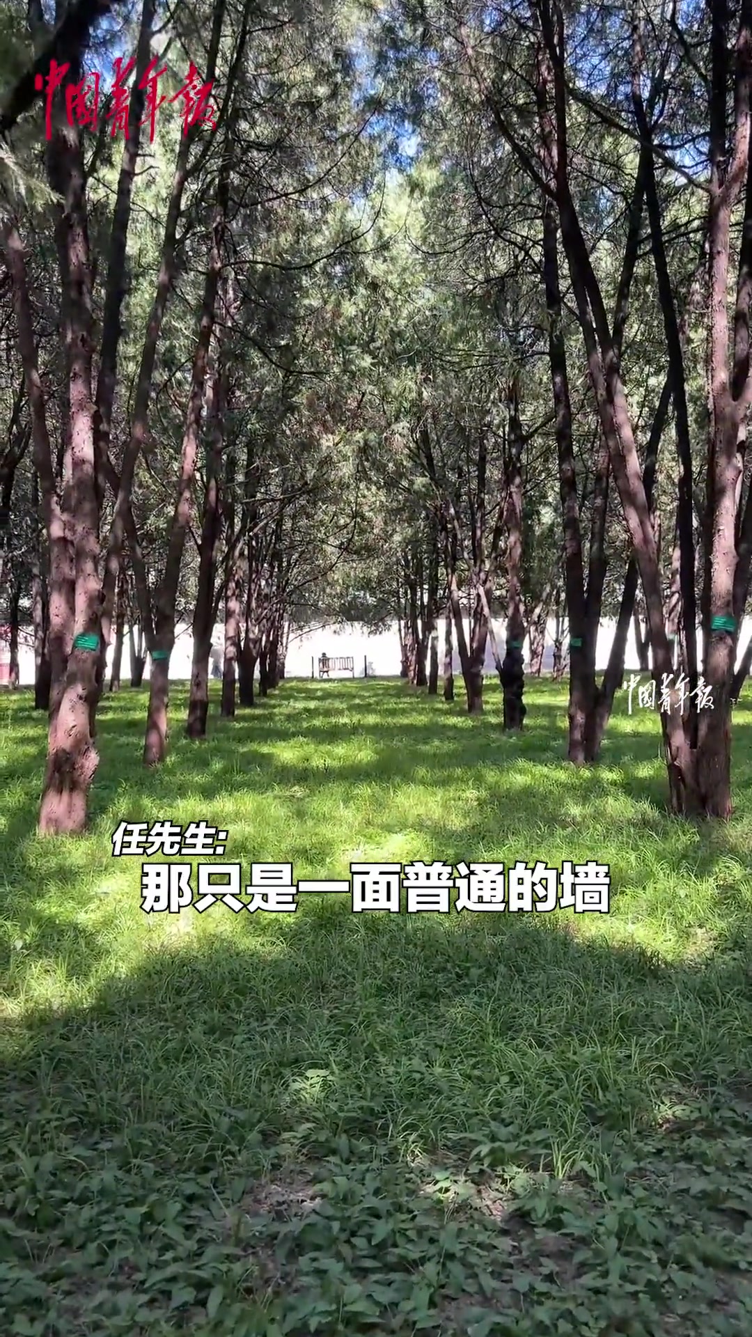 摄影爱好者在北京地坛公园用手机拍出独特“海面”景色