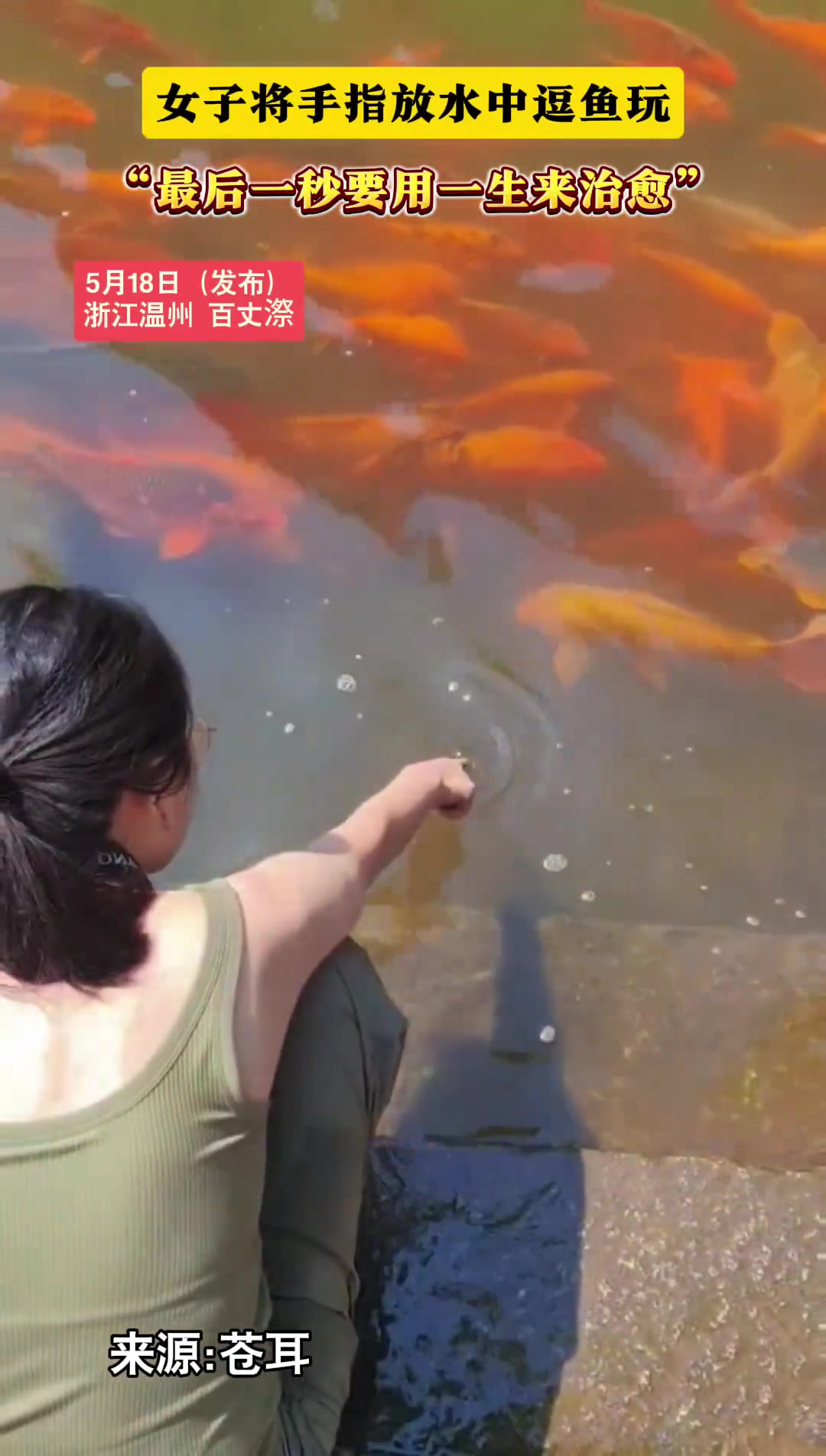女子将手指放在水中逗鱼玩，最后一秒要用一生来治愈