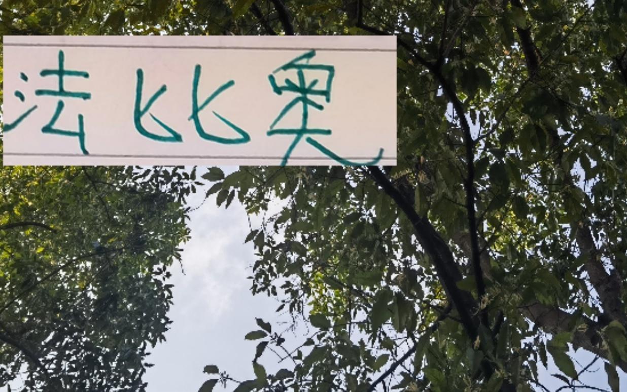 西班牙教头走后!北京国安大佬法比奥最后四轮能争最佳射手吗