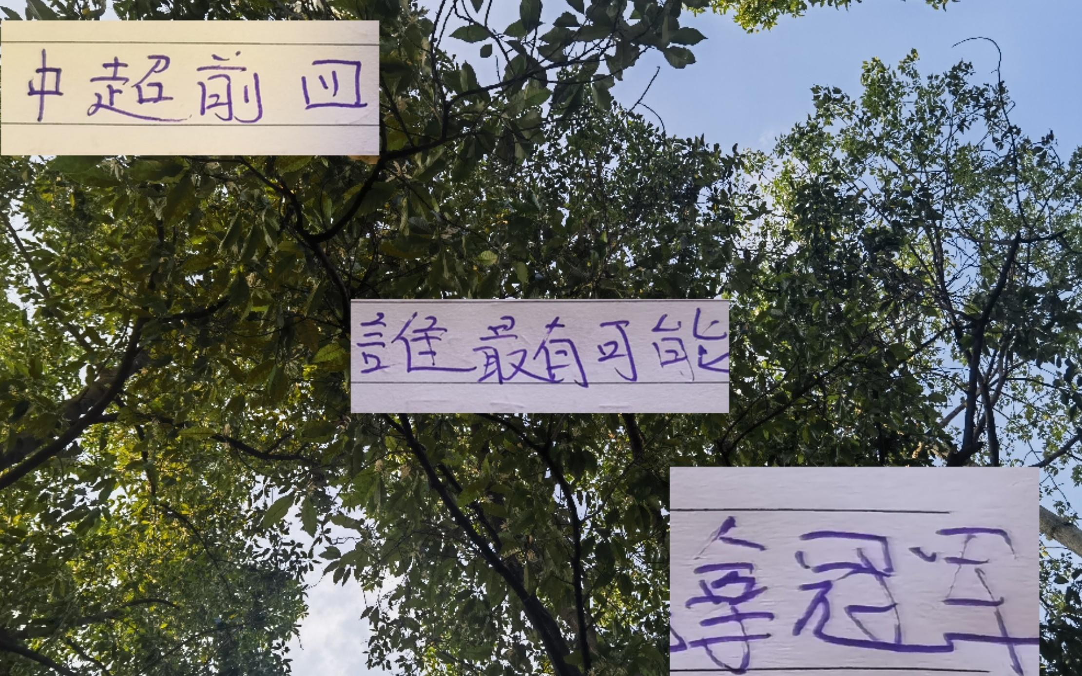 還剩下10輪情況下中超前四申花海港成都都有可能拿下冠軍