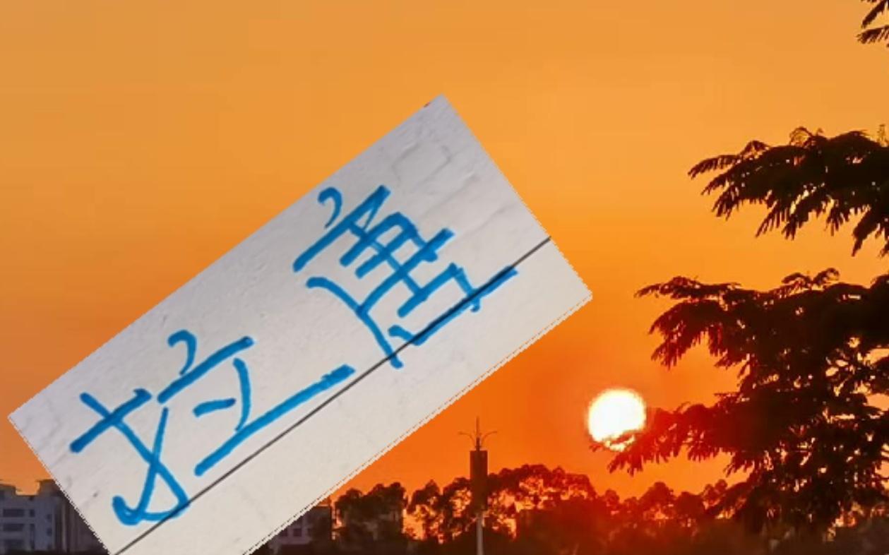 申花新外援!是按照海港莱昂纳多的模型来买吗