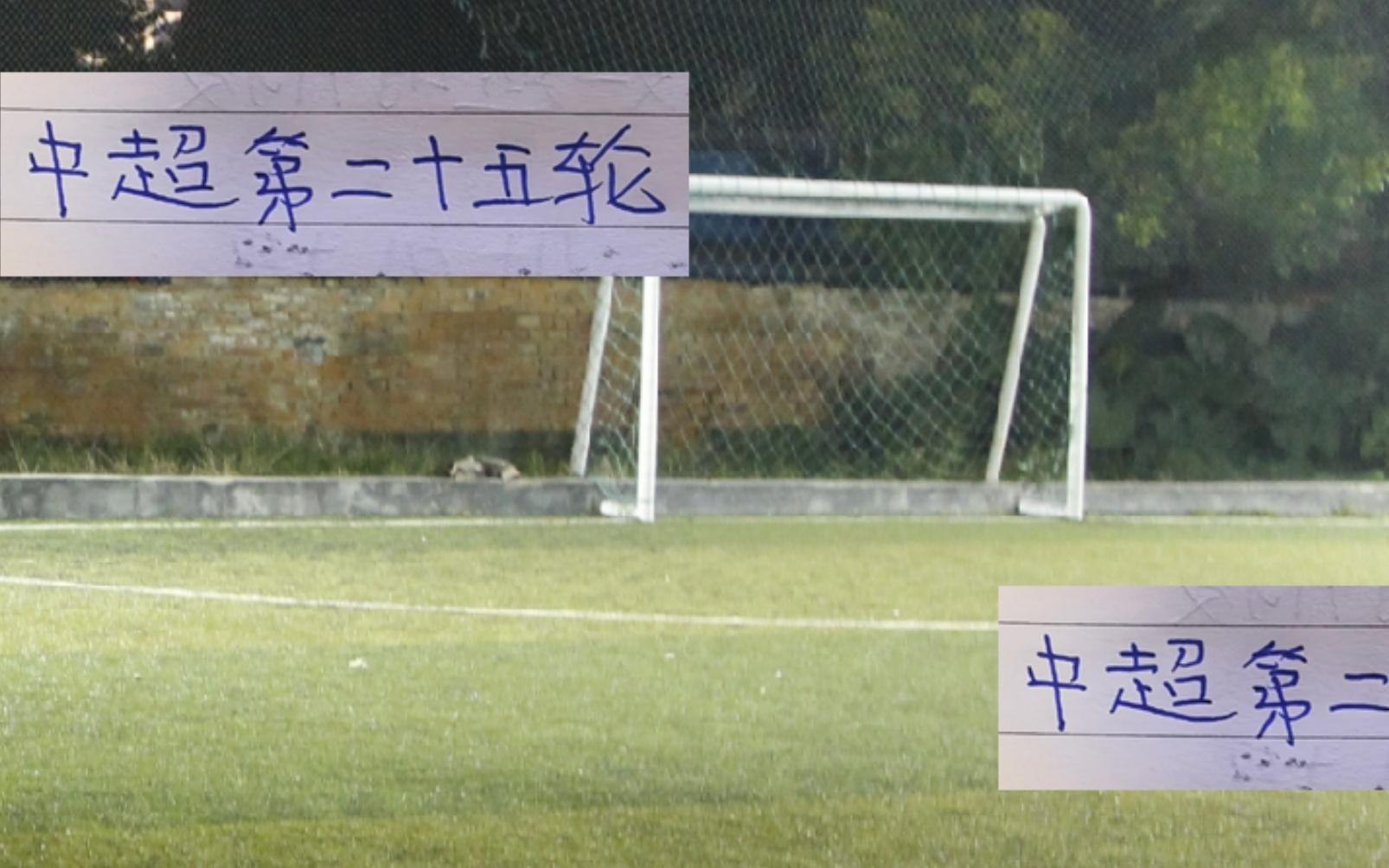 中超第25轮战报海港跟成都蓉继续争霸申花可能提前下车了