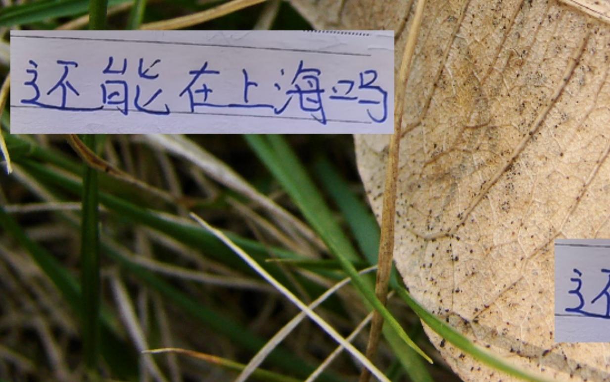 還能留上海嗎今年中超冠軍是海港靠譜點(diǎn)，還是信申花多一點(diǎn)