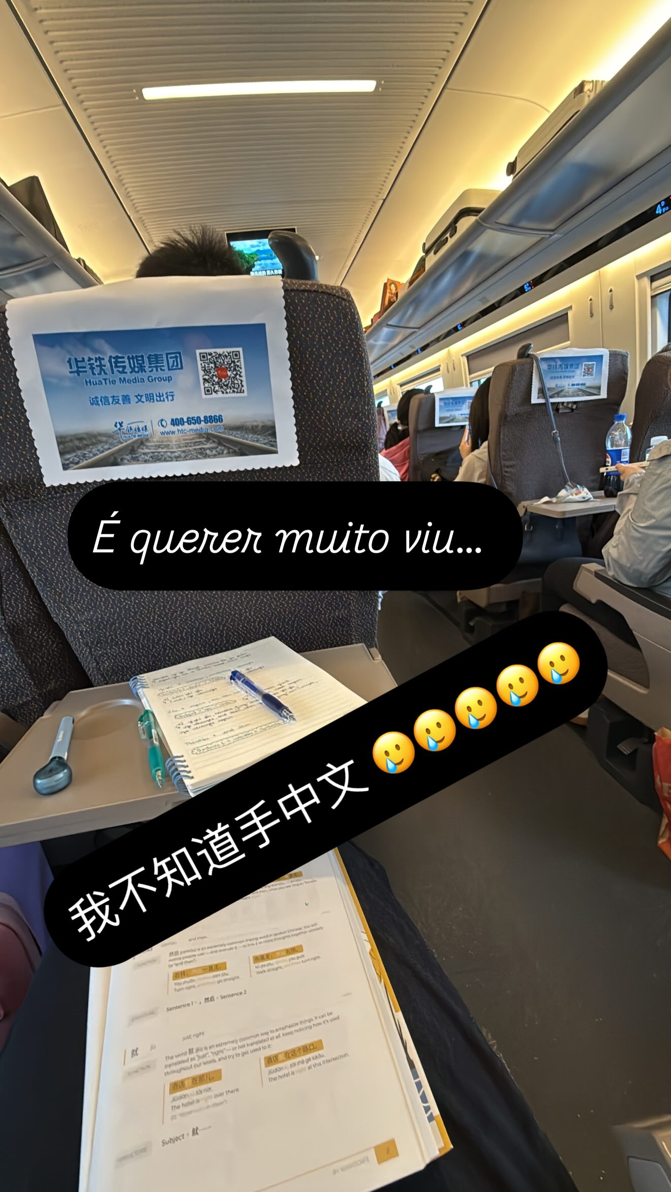 嫂子得练塞鸟妻子高铁上感慨中文太